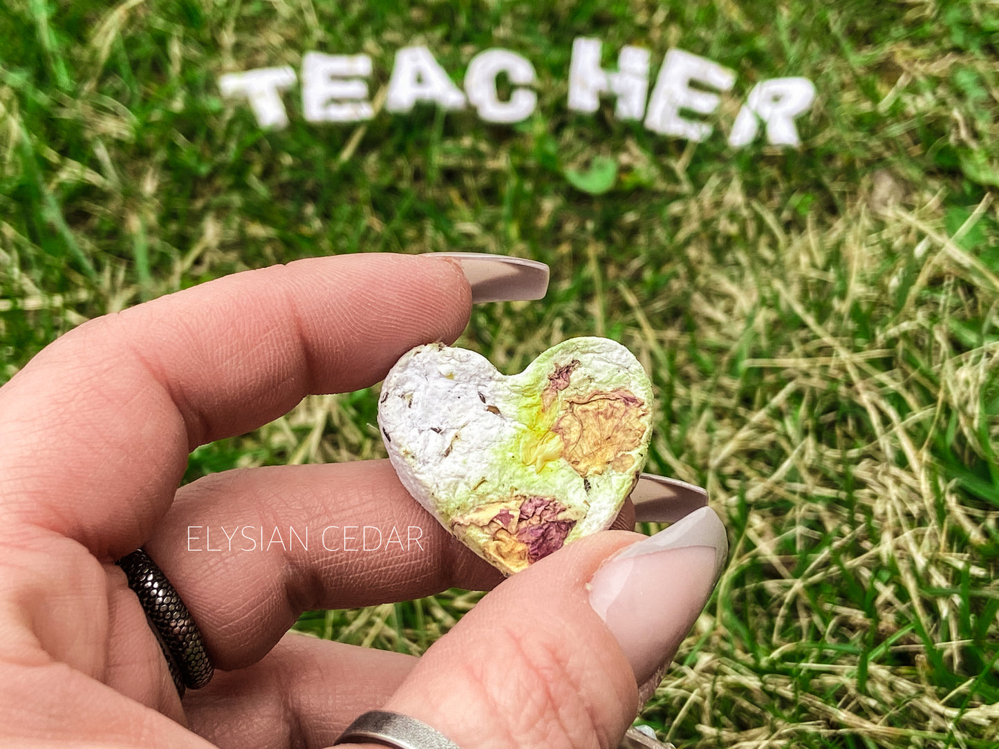 Teacher Seed Bomb Gift Set